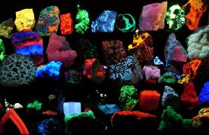 fluorescent minerals in a collection
