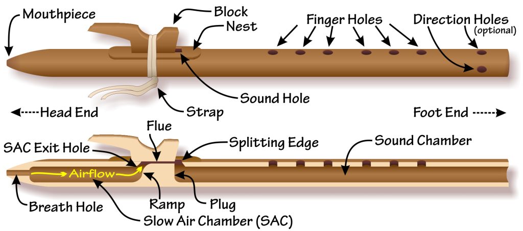 Playing Native American Style Flute: Anatomy