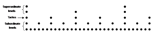What Is metrical Structure SciHobby
